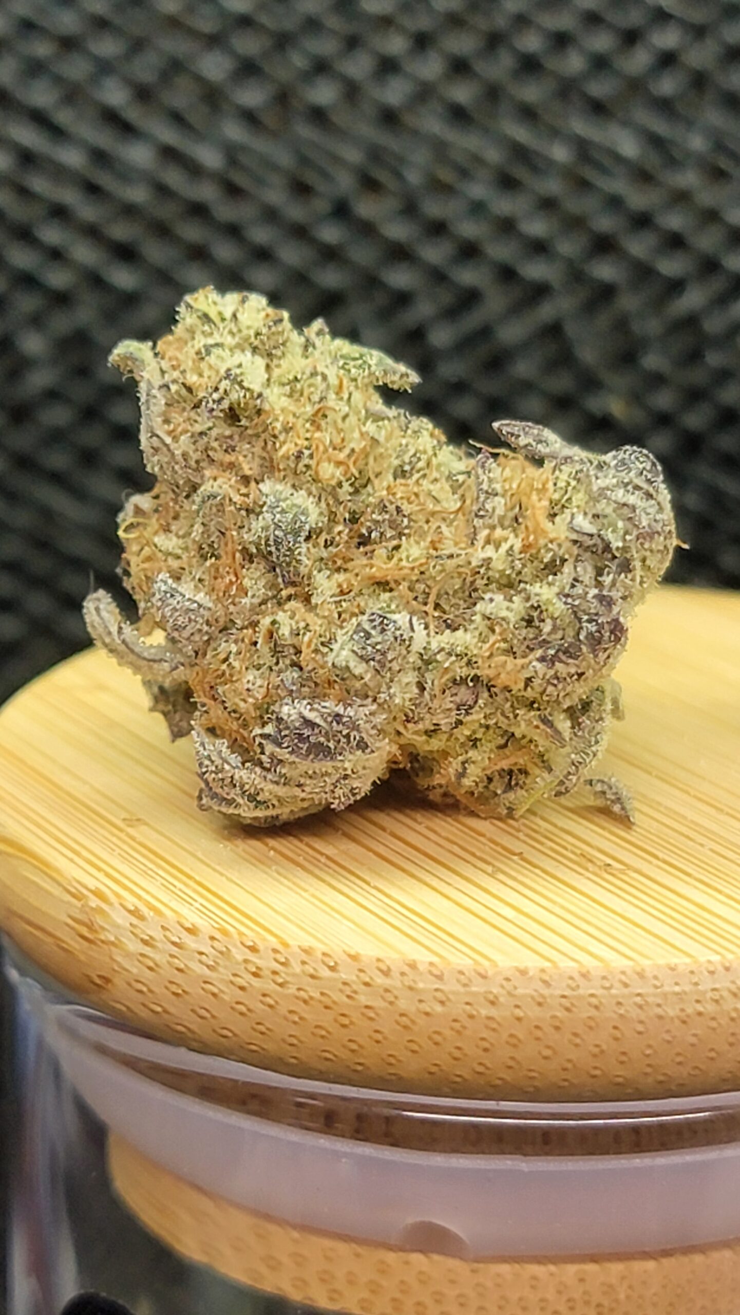 Triple Dip Marmalade